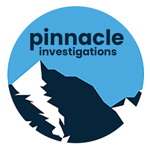 pinnacle investigations graphic