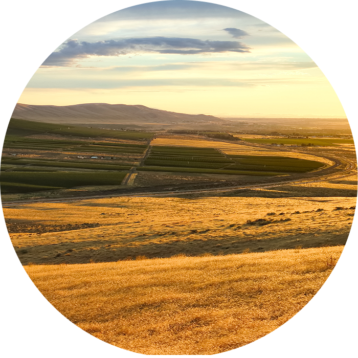 plain fields with homes and sunset in background